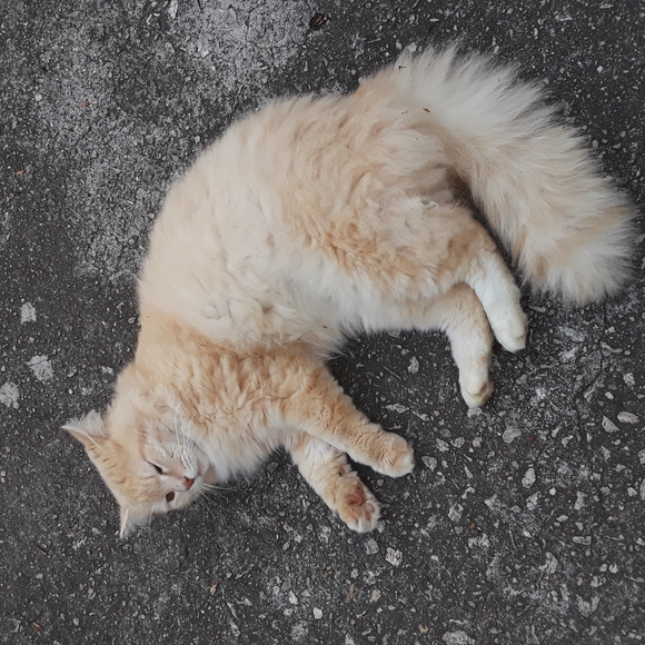 PLEASE SHARE SHARE - Picture 5 of 7